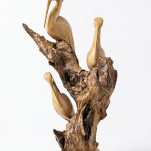 Pelikan Oiseau sur bois