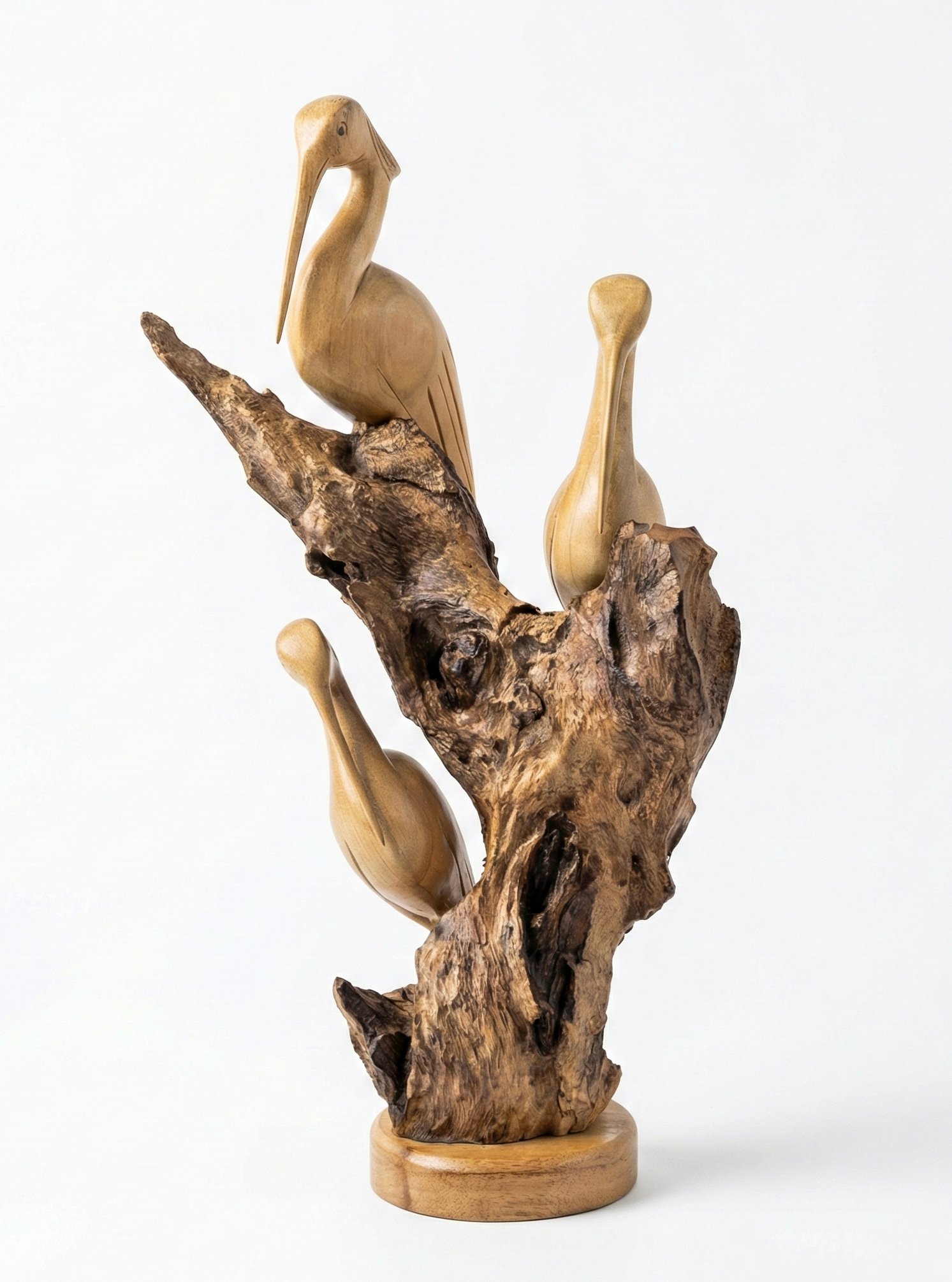 Pelikan Bird on wood