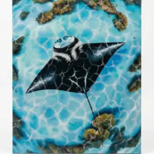 丙烯画上的蝠鲼