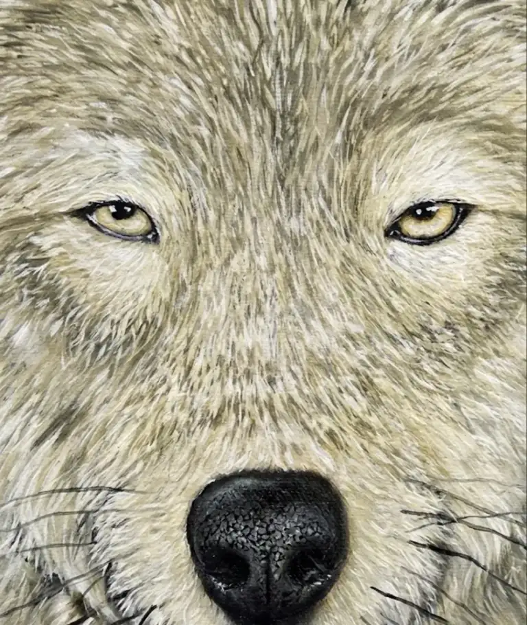 Macro close-up detail of Alzhen's hyper-realistic wolf oil painting showing individual fur micro-texturing, a hallmark of Balinese Hyper-Realism art investment at Arts of Bali gallery.