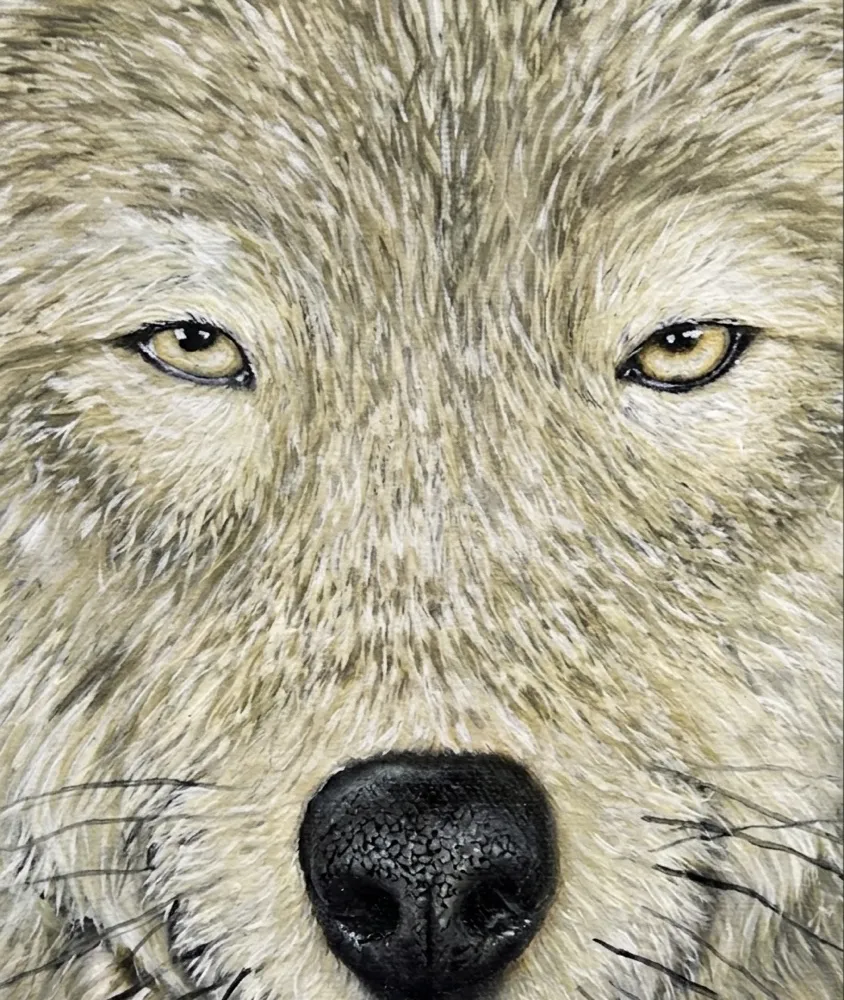 Macro close-up detail of Alzhen's hyper-realistic wolf oil painting showing individual fur micro-texturing, a hallmark of Balinese Hyper-Realism art investment at Arts of Bali gallery.