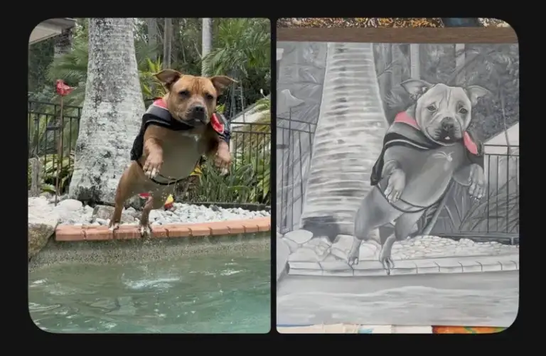 how to commission art in Bali : A client review showing a before and after custom dog portrait painting by Arts of Bali.