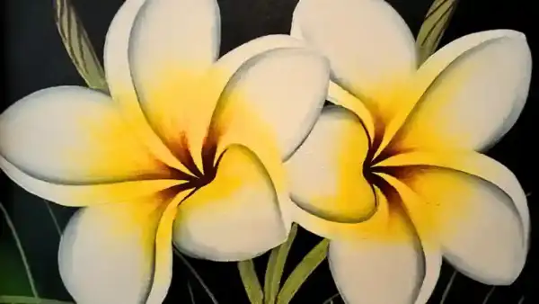 Elegant Twin Frangipani Painting - 图片 3