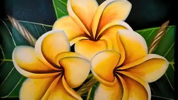 Tropical Trio Frangipani Painting - Gambar 3