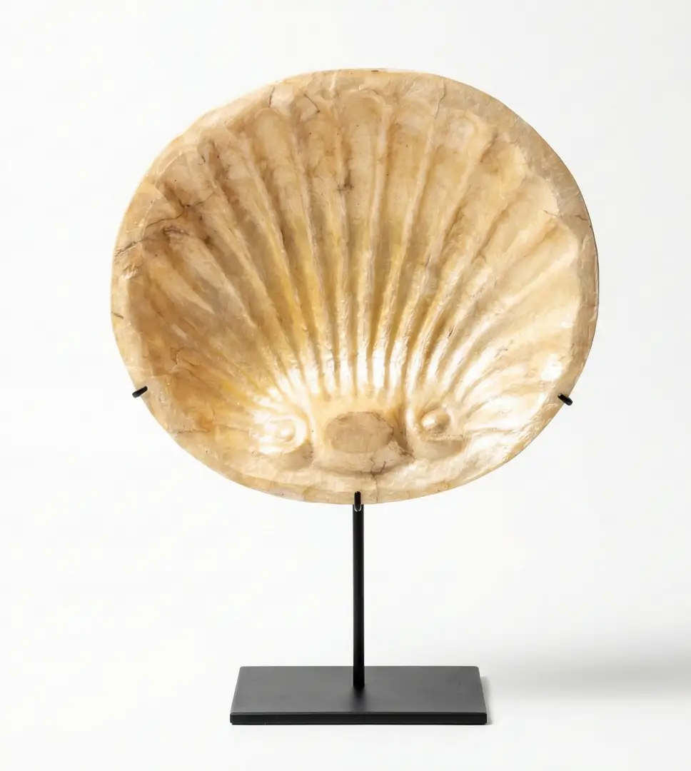 Large circular carved shell relief sculpture in warm cream material, radiating ribs of a scallop shell rendered in three dimensions, mounted on a black iron stand — Indonesian decorative art Arts of Bali Seminyak