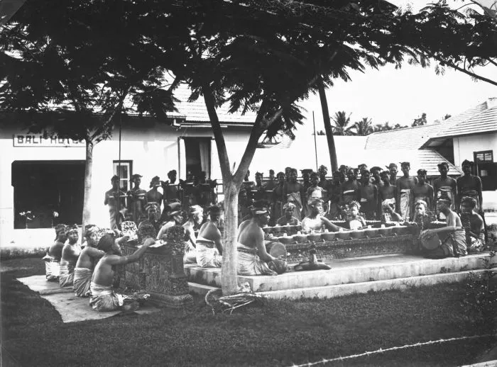 Historic black and white photo of a large Balinese gamelan gong gede orchestra seated in rows outdoors under trees