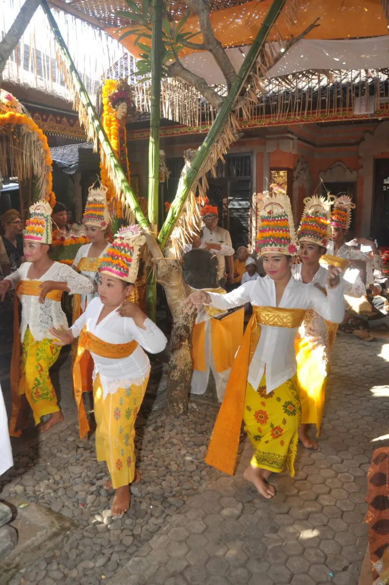 Girls in white tops, yellow sarongs and tall headdresses in a Rejang Dewa procession along a paved street